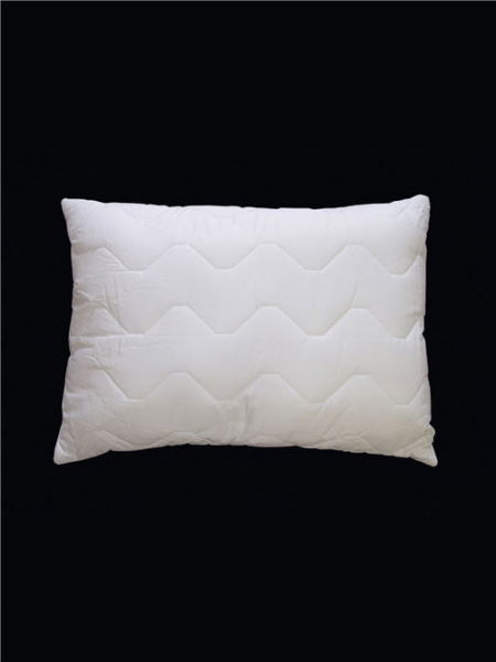 Washable Pillow